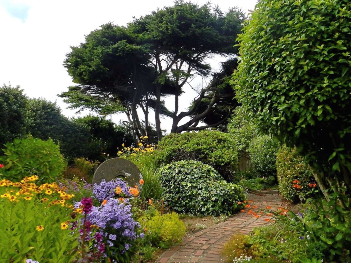 A garden with many different plants and flowers.