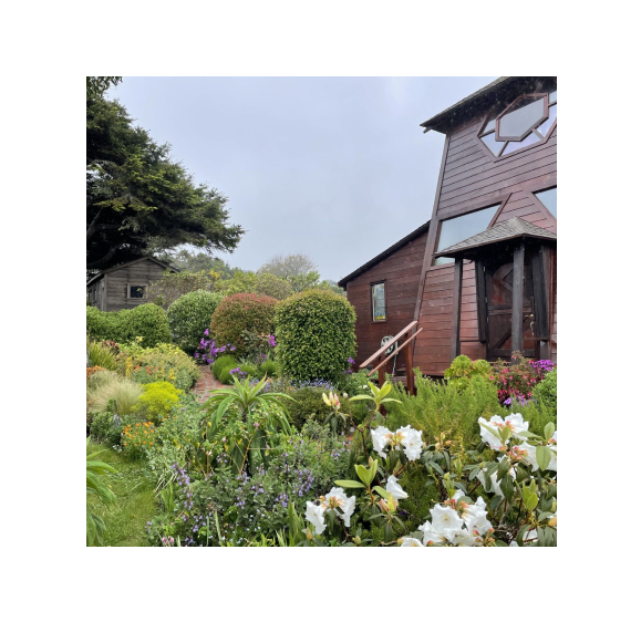 A garden with flowers and a building in the background.